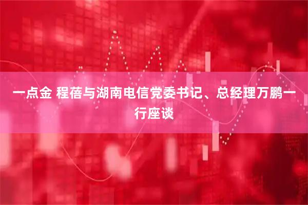 一点金 程蓓与湖南电信党委书记、总经理万鹏一行座谈