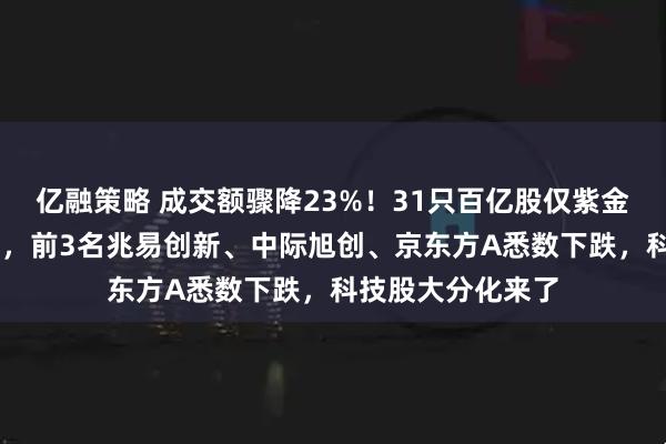 亿融策略 成交额骤降23%!31只百亿股仅紫金矿业1只“老登”,前3名兆易创新、中际旭创、京东方A悉数下跌,科技股大分化来了
